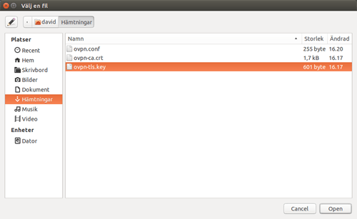 networkmanager ubuntu openvpn log