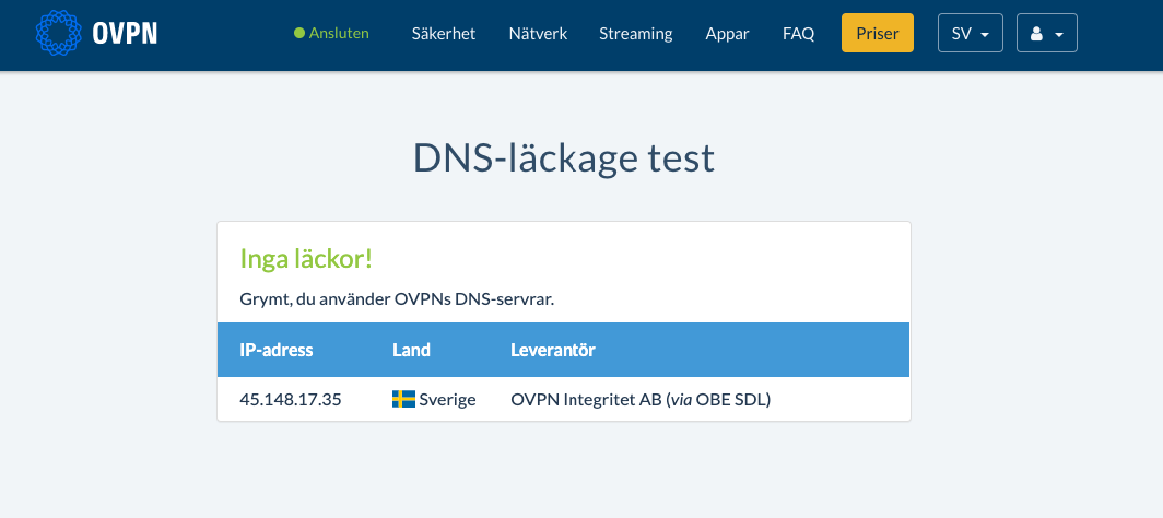 Testa DNS-läckor